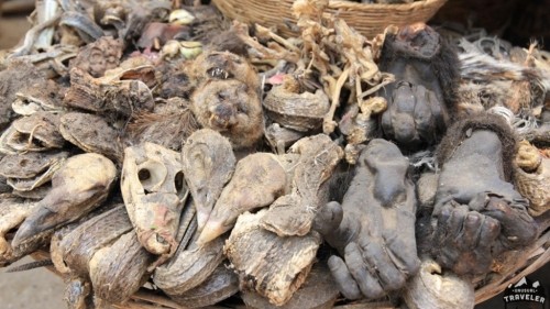 Voodoo market of Benin 