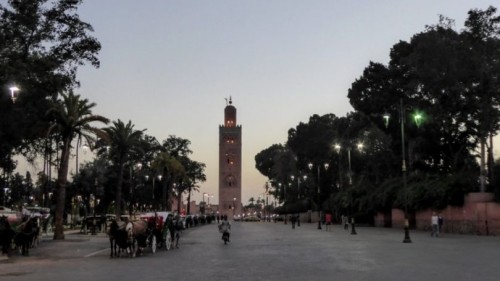 How to Survive Marrakesh - Walkabout Wanderer Blog