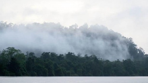 Sustainable Borneo Travel: Cruising on the Kinabatangan River