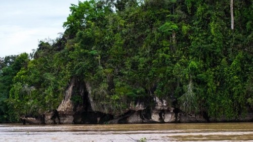 Sustainable Borneo Travel: Cruising on the Kinabatangan River