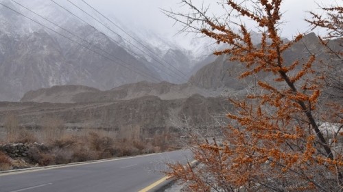 Passu - November 26th 2016