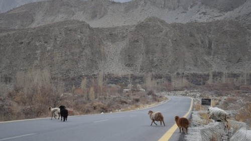 Passu - November 26th 2016