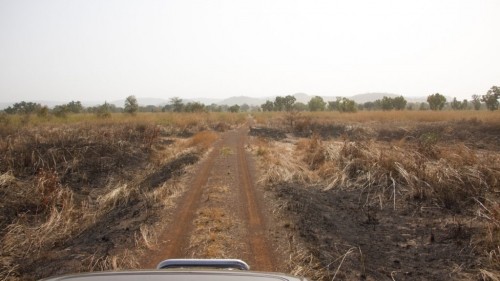 A Peaceful Safari in Pendjari National Park in Northern Benin