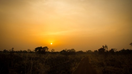 A Peaceful Safari in Pendjari National Park in Northern Benin