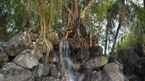 Binh Quoi Village - Bamboo Oasis in the City 