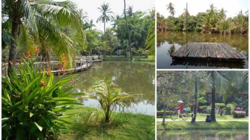 Binh Quoi Village - Bamboo Oasis in the City 