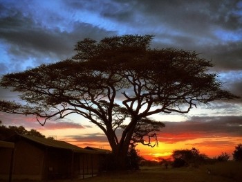 17 Reasons to Visit Tanzania in 2017