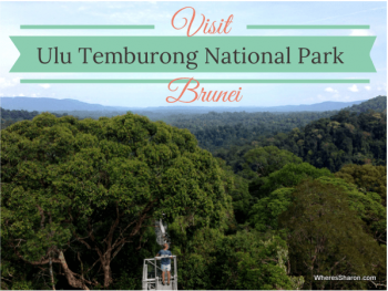Borneo's fabulous Ulu Temburong National Park 