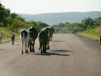 7 Reasons to Visit Santa Cruz while traveling Bolivia