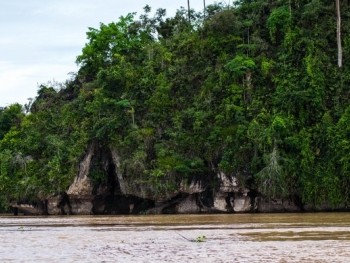 Sustainable Borneo Travel: Cruising on the Kinabatangan River