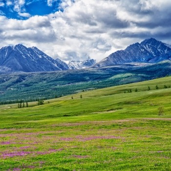 Khongoryn Els, Ömnögovi, Mongolia